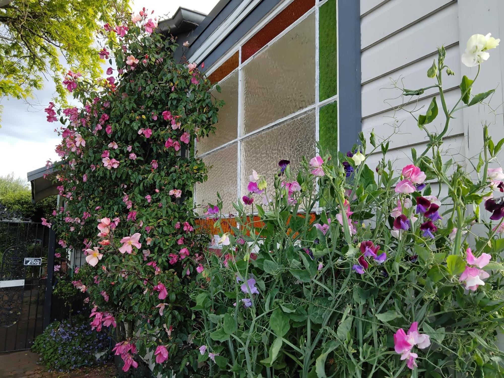 Guthrie Cottage ハブロック・ノース エクステリア 写真